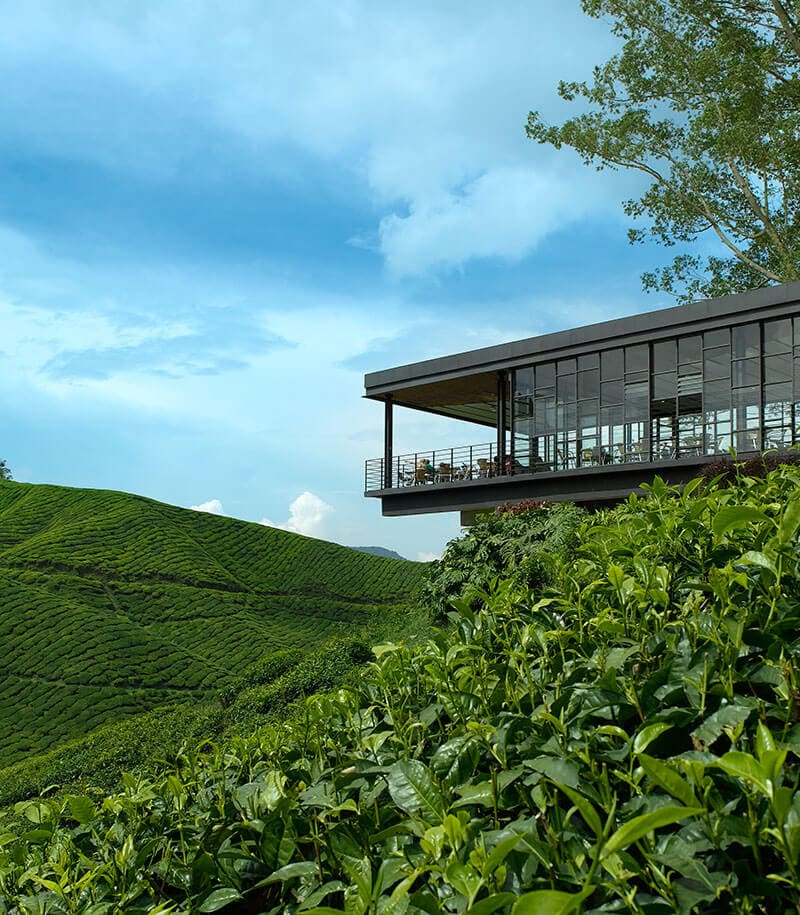 BOH Visitor Centre at Sungai Palas, Cameron Highlands