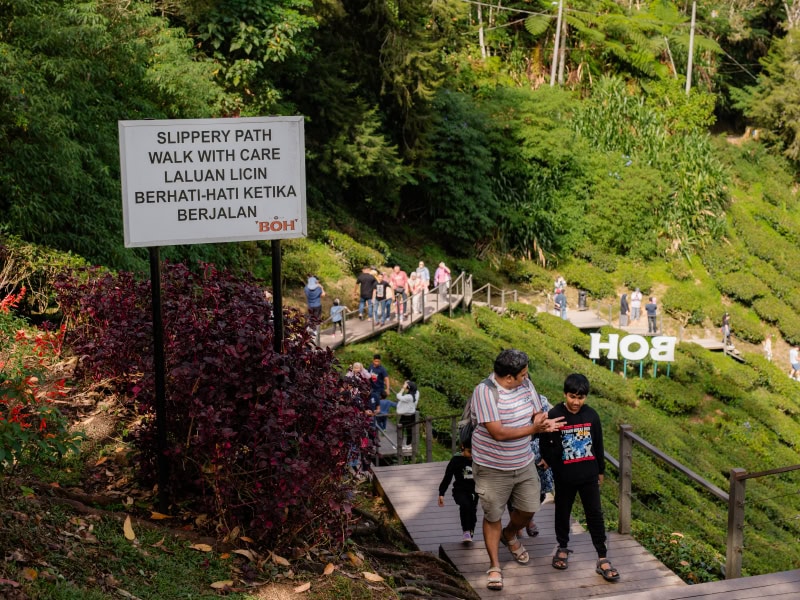 Article2-TeaGardens-01