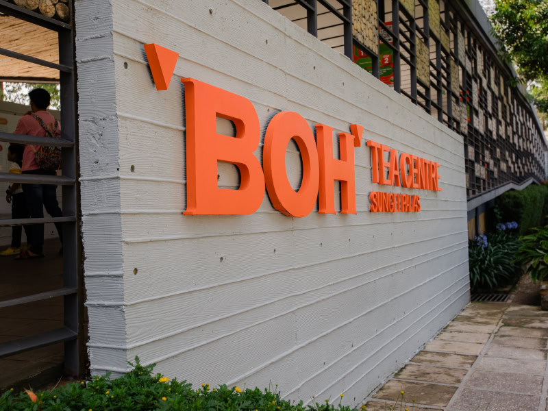 Article2-TeaGardens-02