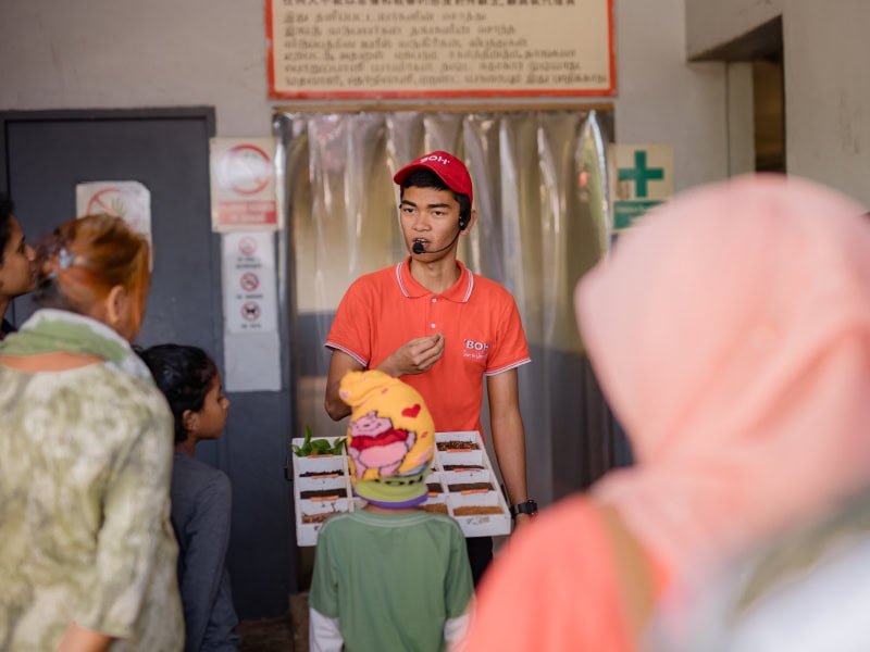 Article2-TeaGardens-03