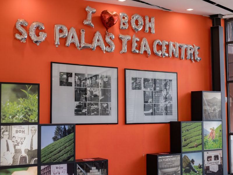 Article2-TeaGardens-05